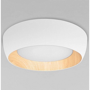 Светильник потолочный LOFT IT FOLK 10255/500 White