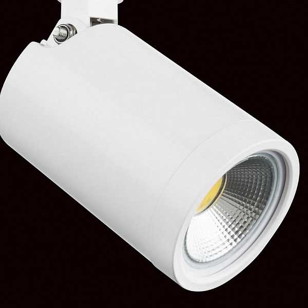 Трековый светильник LIGHTSTAR RULLO 212936