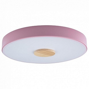 Светильник потолочный LOFT IT AXEL 2 10003/24 Pink
