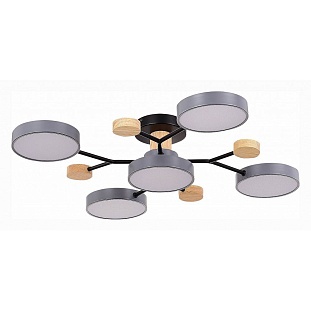 Люстра потолочная EVOLUCE FAEMA SLE6006-702-05