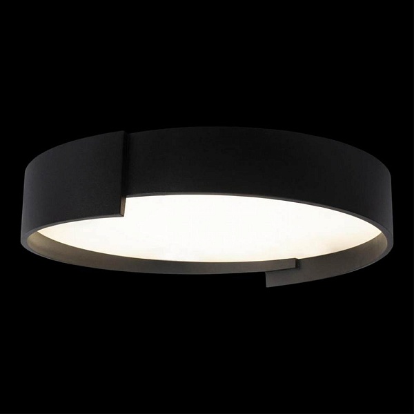 Светильник потолочный LOFT IT COIN 10200 Black