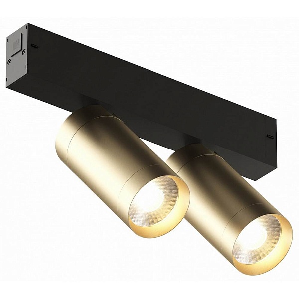 Трековый светильник DENKIRS SMART DK8012-BG