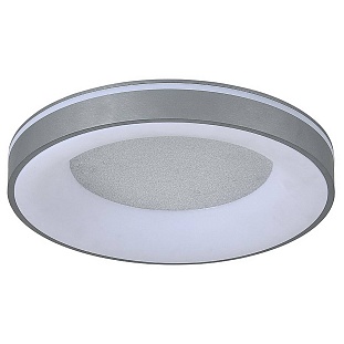 Светильник потолочный ESCADA LEMMA 627/A LED
