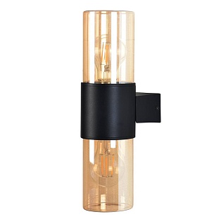 Светильник уличный настенный ARTE LAMP SEGINUS A6515AL-2BK
