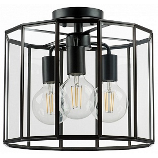 Люстра потолочная LIGHTSTAR GENNI 798237