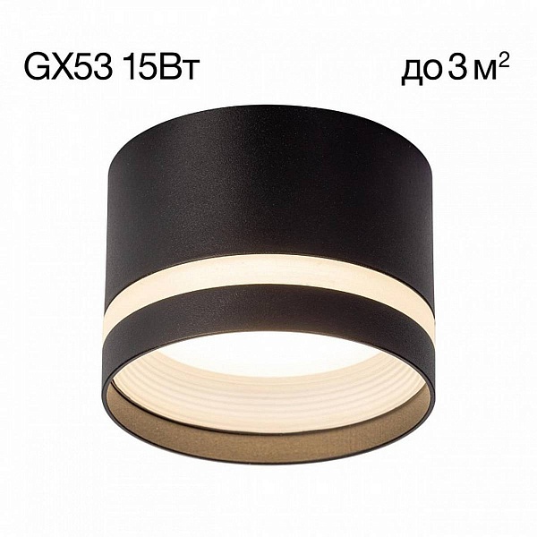 Спот CITILUX HARDY CL002C11