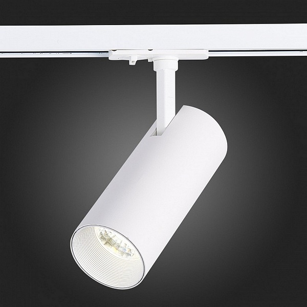 Трековый светильник ST LUCE MONO ST350.546.20.36