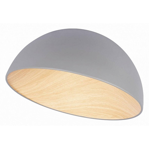 Светильник потолочный LOFT IT EGG 10197/500 Grey