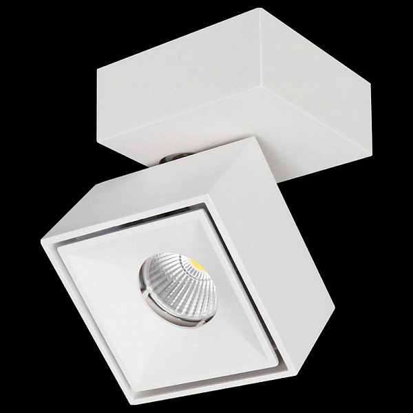 Спот CITILUX СТАМП CL558020N