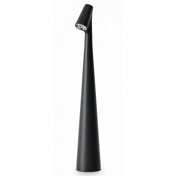 Настольная лампа FREYA CLAM FR6188TL-L3B