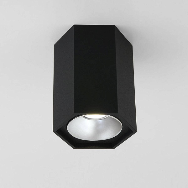 Спот ELEKTROSTANDARD 25036-LED 25036/LED