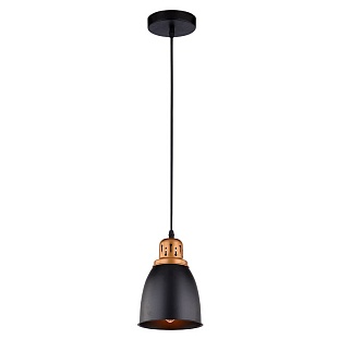 Подвес ARTE LAMP Eurica A4248SP-1BK
