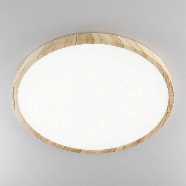 Светильник потолочный CITILUX БЕЙСИК CL738322V