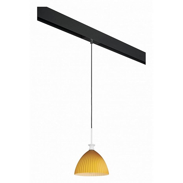 Трековый светильник LIGHTSTAR AGOLA PRO810023