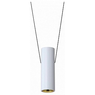 Подвес ILEDEX OXYGEN ZD8213S-12W SWH