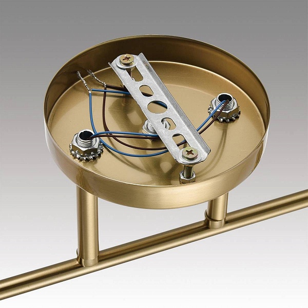Люстра потолочная LUMION VIVIAN 8188/2C