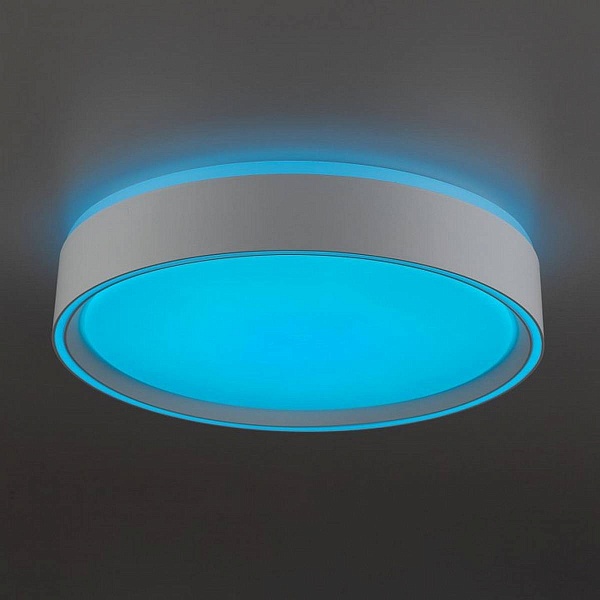 Светильник потолочный CITILUX BOSS CL751250G