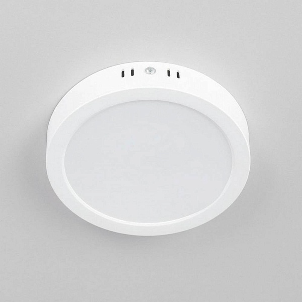 Светильник потолочный CITILUX ГАЛС CL5516N