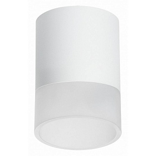 Спот LIGHTSTAR RULLO R348681
