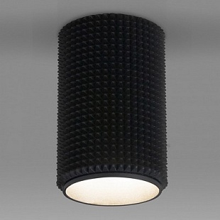 Спот ELEKTROSTANDARD DLN112 a048145
