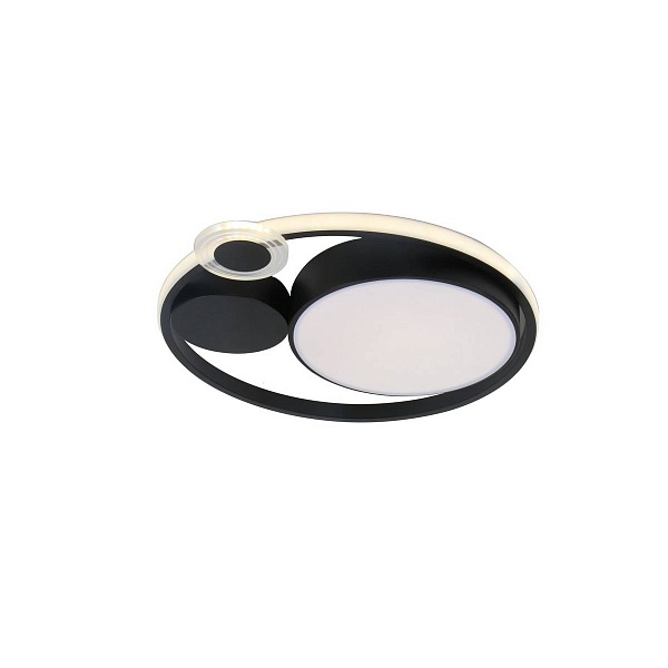 Светильник потолочный ARTE LAMP STOCKHOLM A2690PL-1BK