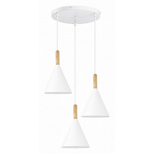 Подвес EVOLUCE ARKET SLE1255-513-03
