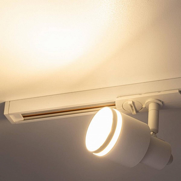 Трековый светильник CITILUX BRUNO CL565T10