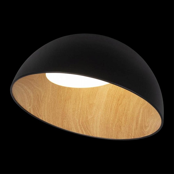 Светильник потолочный LOFT IT EGG 10197/500 Black