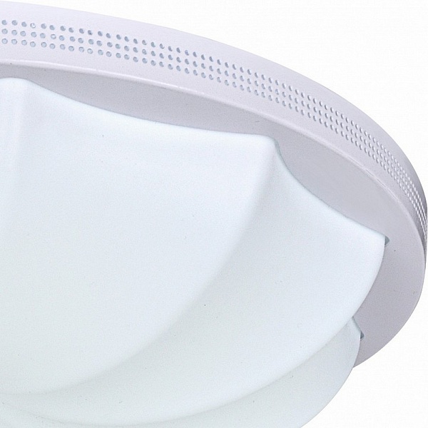 Светильник потолочный ESCADA 10231 10231/S LED