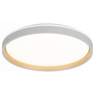 Светильник потолочный CITILUX ENZO CL753510G