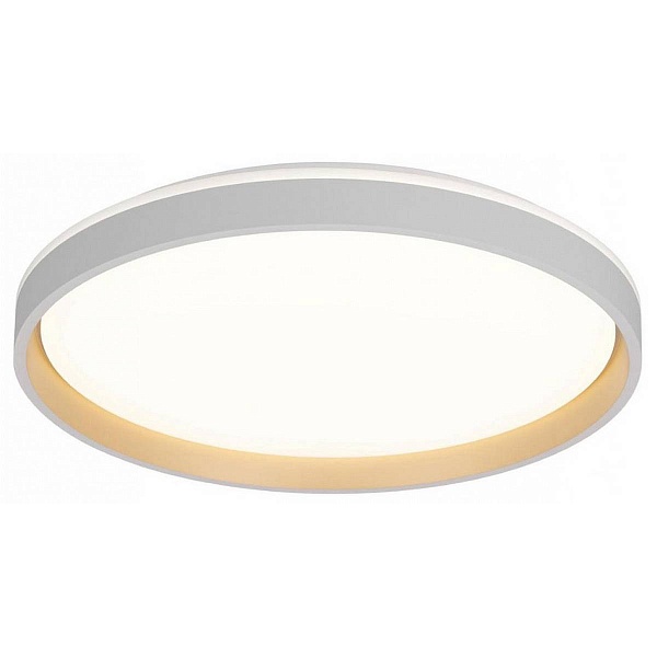 Светильник потолочный CITILUX ENZO CL753510G