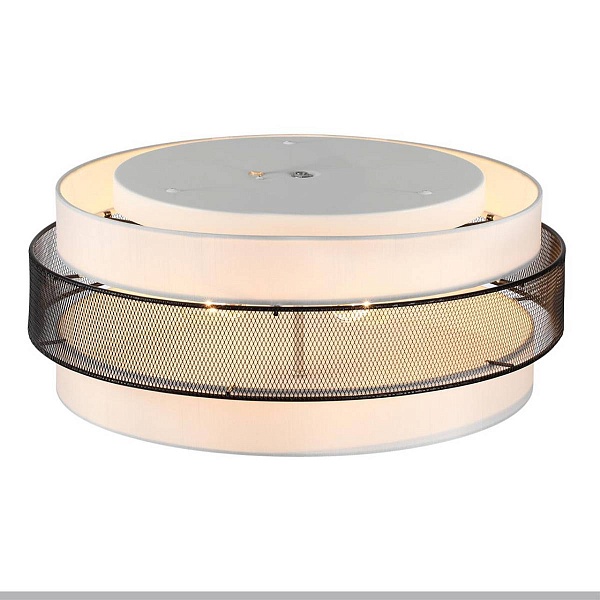 Светильник потолочный LUMION ANIMAISA 8002/6C