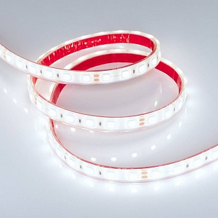 Лента LED RTW-PFS-B60 14,4 W/m 24V IP68 5060/60 10000K 13mm (5м) 36443 ARLIGHT