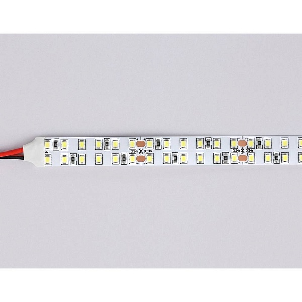 Лента LED 24 W/m 24V IP20 2835/240 6500K 14mm (5м) GS3703 AMBRELLA LIGHT