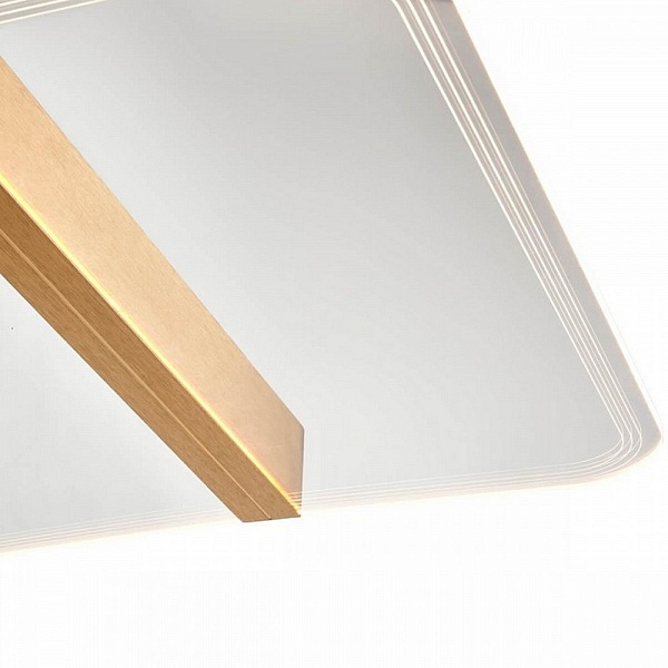 Светильник потолочный VELE LUCE FUTURO VL7224L21