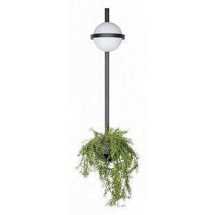 Бра LOFT IT JARDIN 10121W/B
