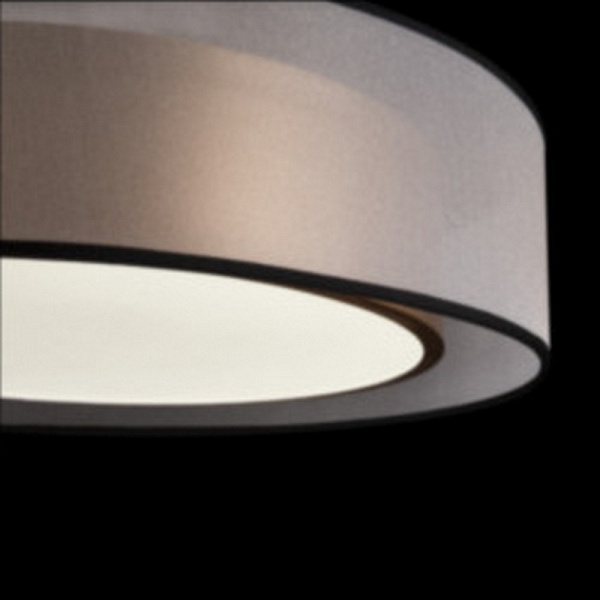 Светильник потолочный FREYA ZOTICUS FR6005CL-L36G