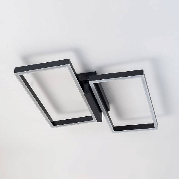 Светильник потолочный ESCADA SCALES 10209/2LED Black