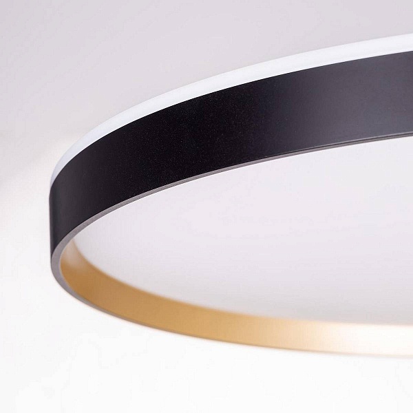 Светильник потолочный CITILUX ETALON CL750501R