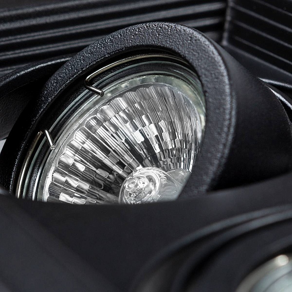 Светильник встраиваемый ARTE LAMP CANIS A6661PL-2BK