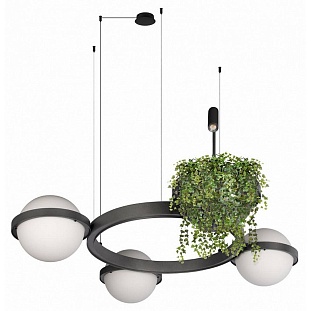 Люстра подвесная LOFT IT JARDIN 10121/3 Dark grey