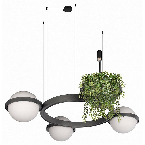 Люстра подвесная LOFT IT JARDIN 10121/3 Dark grey