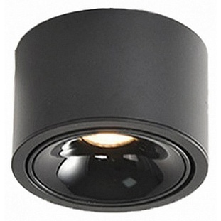 Спот WERTMARK WTA.O06 WTA.O06.667.30.07