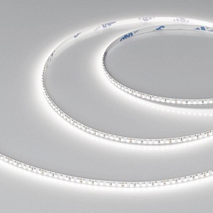 Лента LED MICROLED-M266 12 W/m 24V IP20 2216/266 6000K 4mm (5м) 37823 ARLIGHT