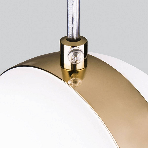 Подвес ELEKTROSTANDARD DLN050 a047809