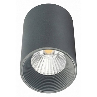 Спот ESCADA 20003 20003SMU/01LED SGY