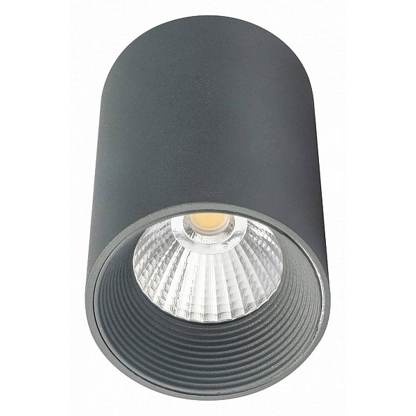 Спот ESCADA 20003 20003SMU/01LED SGY
