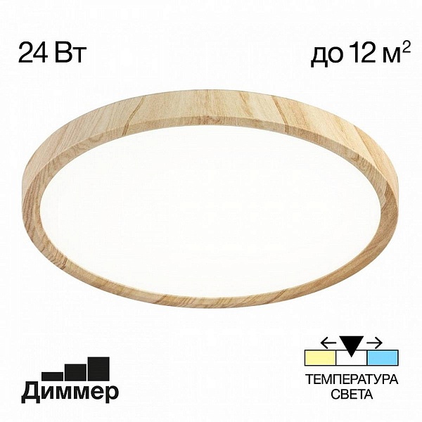 Светильник потолочный CITILUX БЕЙСИК CL738242V