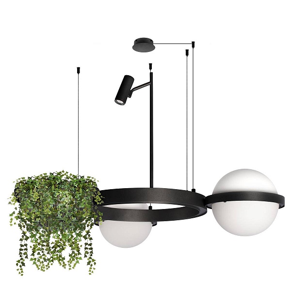 Люстра потолочная LOFT IT JARDIN 10121/2