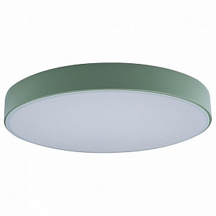 Светильник потолочный LOFT IT AXEL 1 10002/24 Green